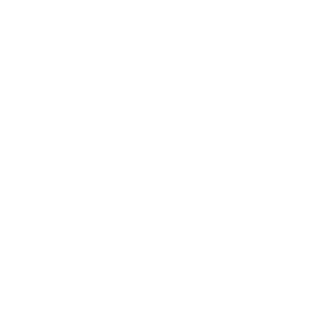 برگر